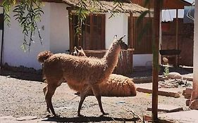 Cabañas Voyage Atacama
